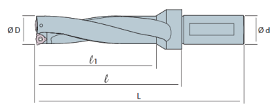 Сверло корпусное со сменными пластинами SW4D175-03 Sangeo — фото